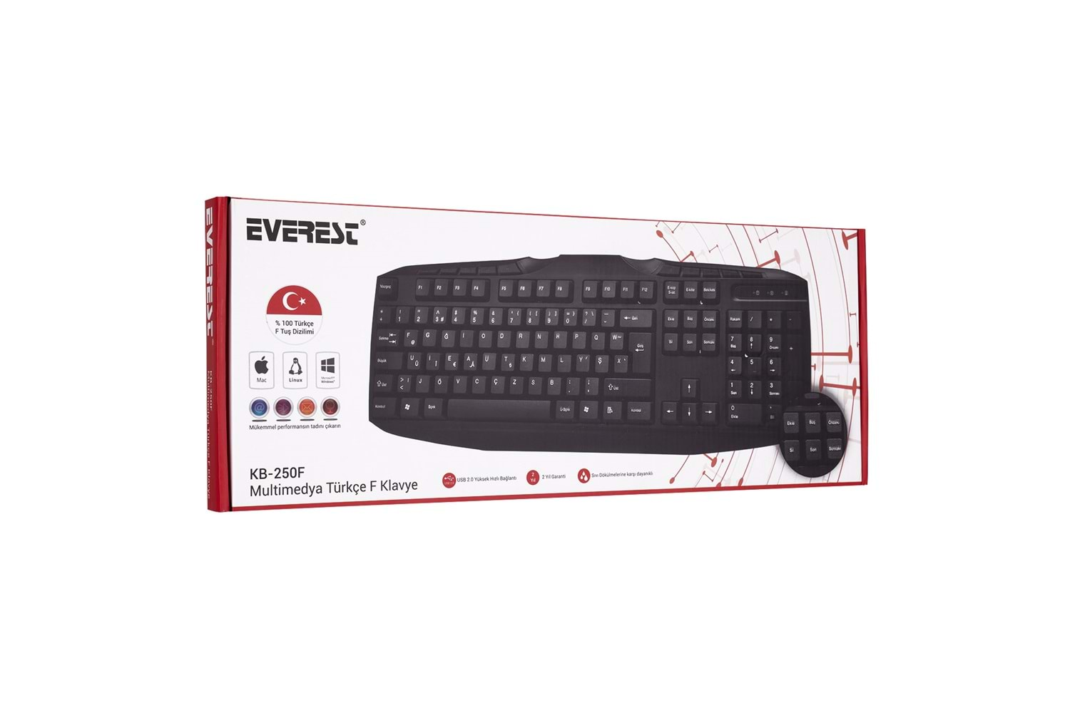 Everest KB-250F Siyah USB F Multimedia Klavye