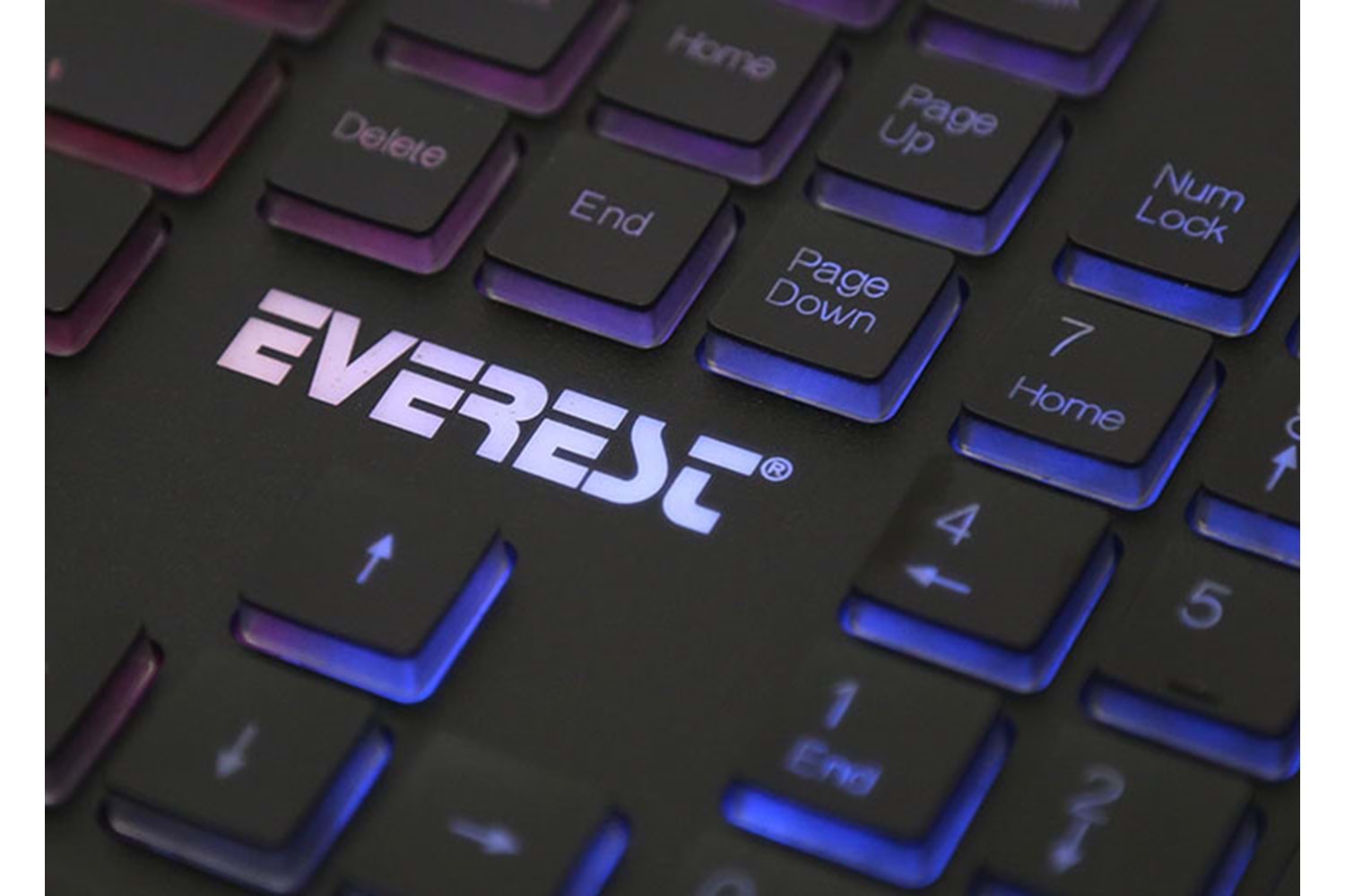Everest KB-840 Siyah Renk Aydınlatmalı USB Q Standart Klavye