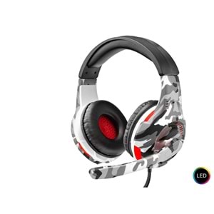 HADRON H25 KULAKLIK MİKROFONLU PC