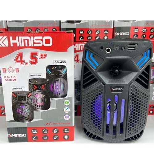 PLATOON PL-4501 KABLOSUZ BT,SD,USB GİRİŞLİ IŞIKLI