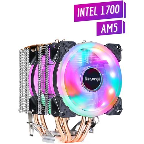 GABBLE GAB-RCF251 2 RGB FANLI KULE TİPİ CPU FANI 2X12