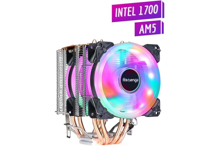 GABBLE GAB-RCF251 2 RGB FANLI KULE TİPİ CPU FANI 2X12